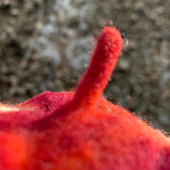 Nafi De Luca  wool beret main image 5
